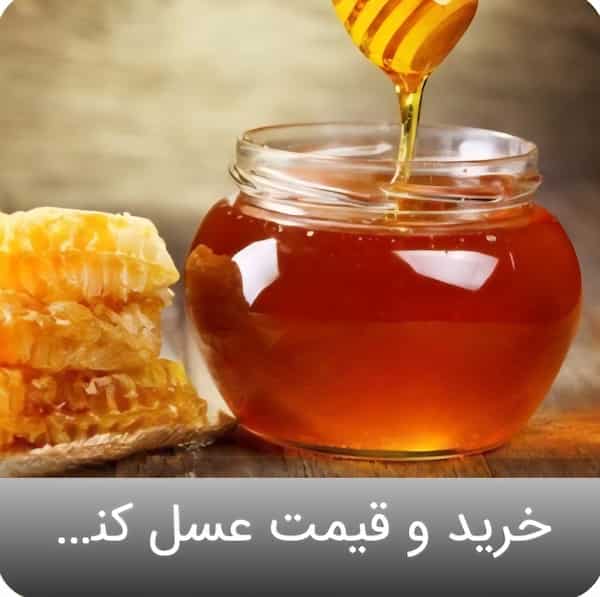 تصویر 5 از خرید عسل کنار با بهترین کیفیت بازار